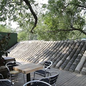 Beijing Wohkoon Hostel-Nan Luo Gu Xiang Branch